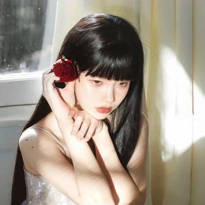 大盗吉普赛